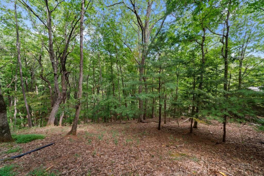 Вилла Cozy Bear Getaway Marble Hill Экстерьер фото